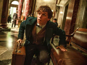 Newt Scamander Cautious Moment Wallpaper