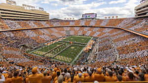 Neyland Stadium Game Day Wallpaper