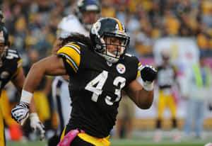 Nfl Football Player Troy Polamalu Wallpaper