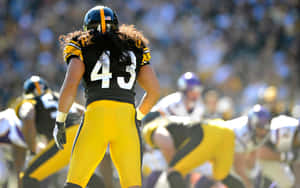 Nfl Legend Troy Polamalu. Wallpaper