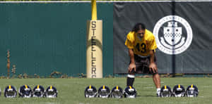 Nfl Safety Troy Polamalu Of The Pittsburgh Steelers Wallpaper