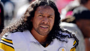 Nfl Safety Troy Polamalu Wallpaper