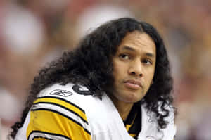 Nfl Star Troy Polamalu Wallpaper