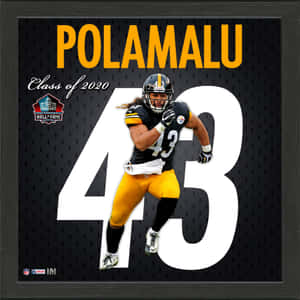 Nfl Superstar Troy Polamalu Wallpaper