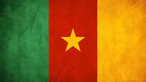 Nice Cameroon National Football Team Flag Wallpaper