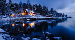 Nice Cutting Of The View In The Lake Wallpaper