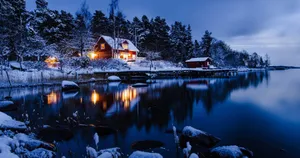 Nice Cutting Of The View In The Lake Wallpaper