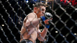 Nick Diaz Ready To Fight Wallpaper