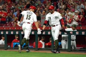 Nick Senzel Displaying His Skills On The Baseball Field Wallpaper