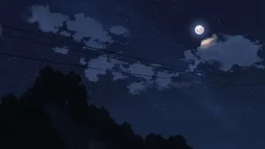 Night Anime Sky Features Electrical Cables And Trees Wallpaper