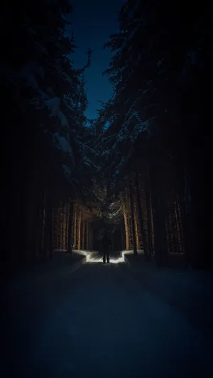 Night In The Forest 4k Ultra Hd Dark Phone Wallpaper