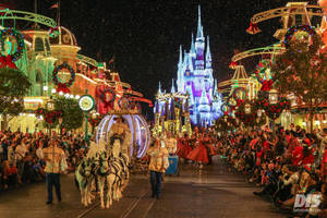 Night Parade At Disney World Wallpaper