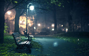 Night Park Bench Wallpaper