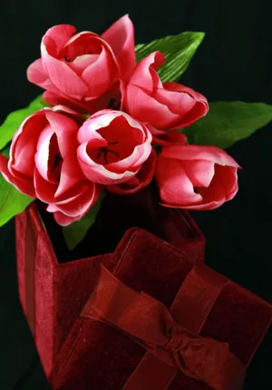 Night Skies Over A Verdant Field On A Clear Summer's Evening Wallpaper