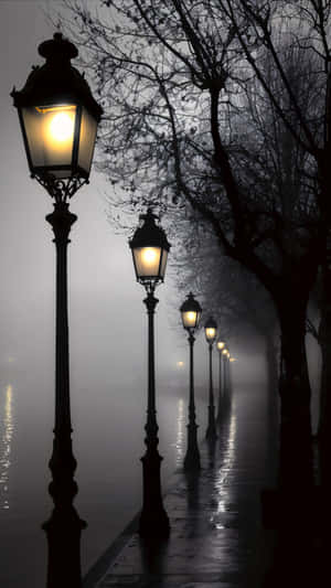 Night Street Lamps Shot Wallpaper