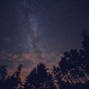 Nighttime View Of A Star Covered Sky Wallpaper