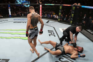 Nikita Krylov Knock-out Wallpaper