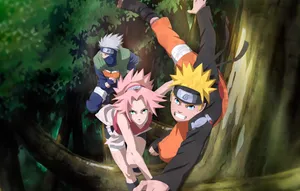 Ninja Warriors In Their Realm Wallpaper