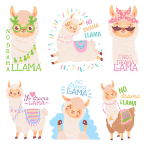 No Drama Llama Cartoon Collection Wallpaper