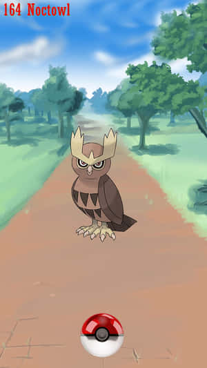 Noctowl Pokemon Encounter Wallpaper