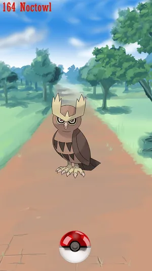 Noctowl Pokemon Encounter Wallpaper