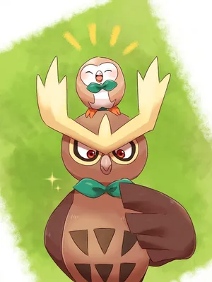 Noctowland Rowlet Cute Pokemon Art Wallpaper