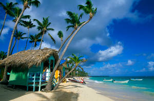 North America Punta Cana Wallpaper