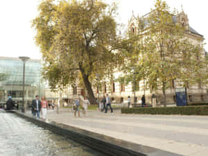 North_ Terrace_ Adelaide_ Autumn_ Ambiance.jpg Wallpaper