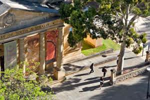 North Terrace Adelaide Library Exterior Wallpaper