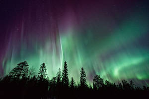 Northern Lights Mac Desktop Wallpaper