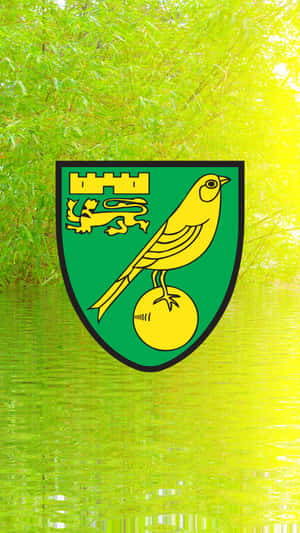 Norwich City Wallpaper