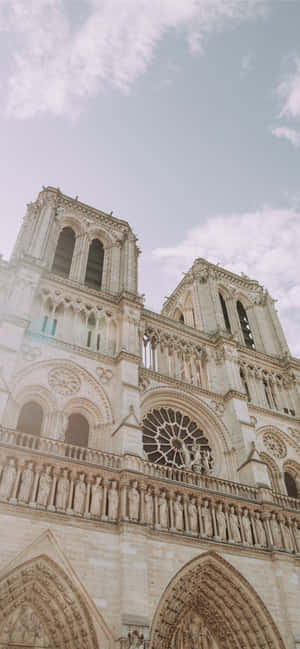 Notre Dame Cathedral Front Architecture Wallpaper