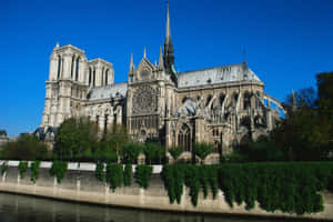 Notre Dame Cathedral With Walls Covered In Plants Wallpaper