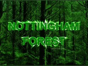 Nottingham Forest Fc Green Wallpaper