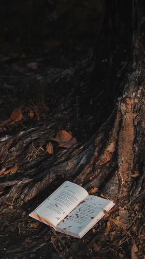 Novel On The Tree Wallpaper