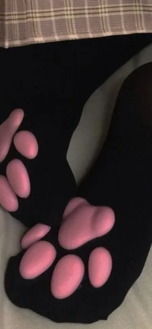 Novelty Paw Print Socks Wallpaper