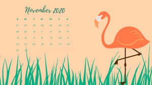 November 2020 Calendar Stork Wallpaper