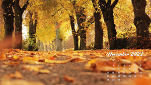 November 2021 Calendar Falling Leaves Wallpaper