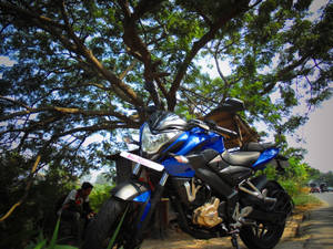 Ns 200 Motorcycle Under Tree Wallpaper