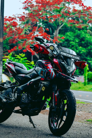 Ns 200 Pulsar Red Leaves Tree Wallpaper