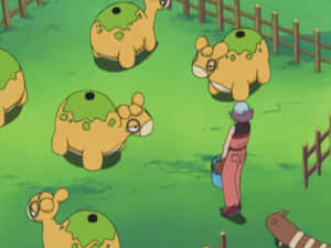 Numel Pokémons In The Yard Wallpaper