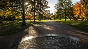 Oblong Shape In Park [wallpaper] Wallpaper