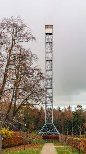 Observation Tower Oosterhout Autumn Wallpaper