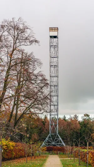 Observation Tower Oosterhout Autumn Wallpaper