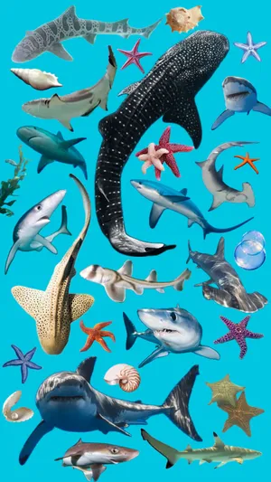 Oceanic Sharksand Marine Life Collage Wallpaper