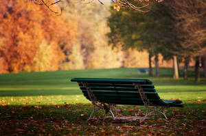 October Lone Park Bench Wallpaper