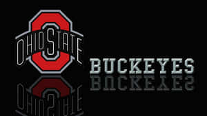 Ohio State Buckeyes Logo On A Black Background Wallpaper