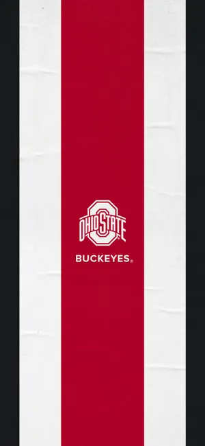 Ohio State University Football Stripes Wallpaper
