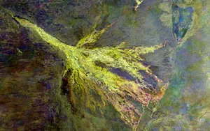 Okavango Delta From Space Wallpaper