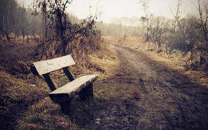 Old Forgotten Bench Wallpaper